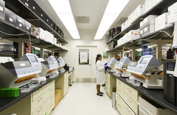 Bioquímica Clínica